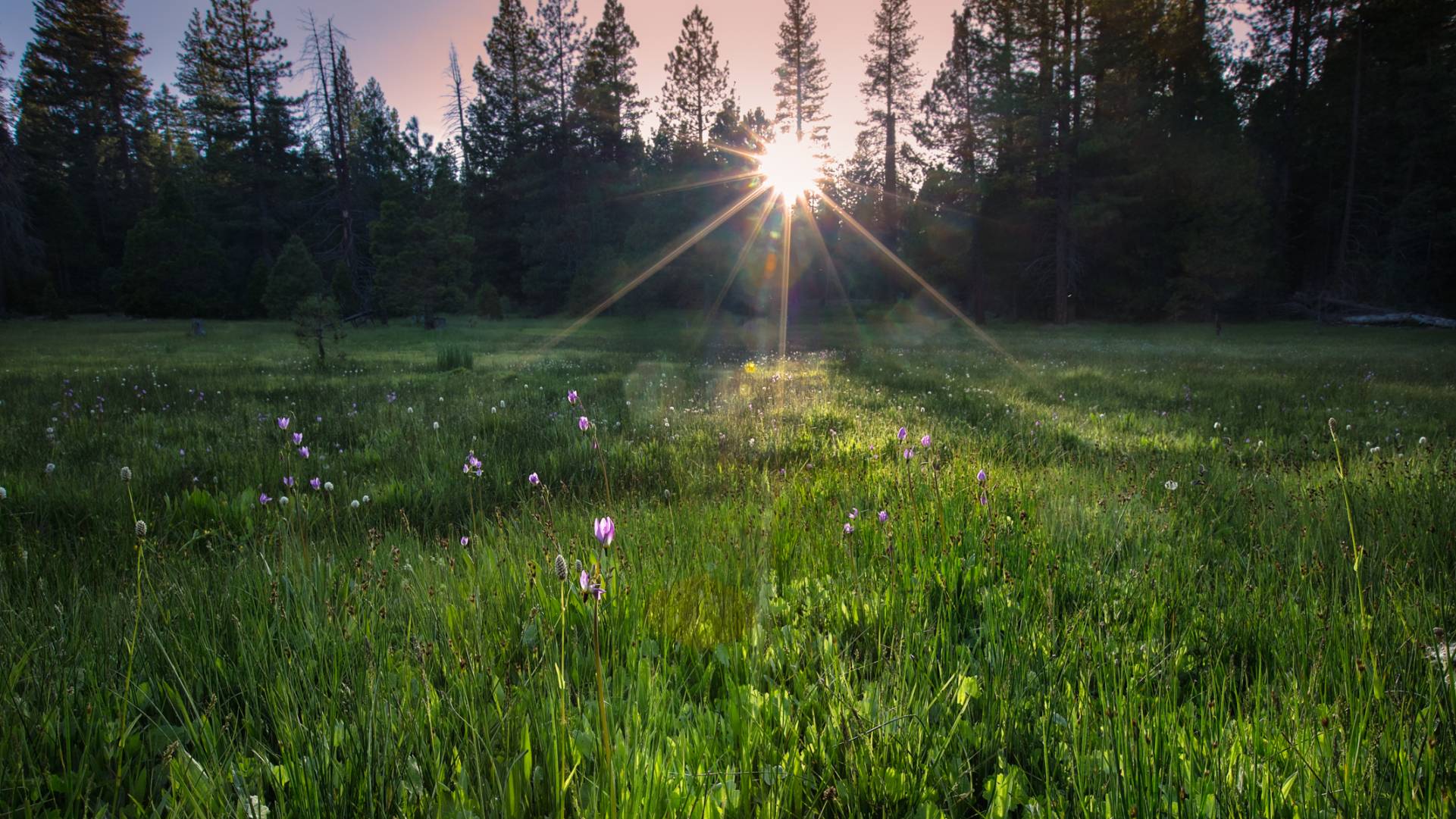 Anxiety counselors in Mesa, Arizona